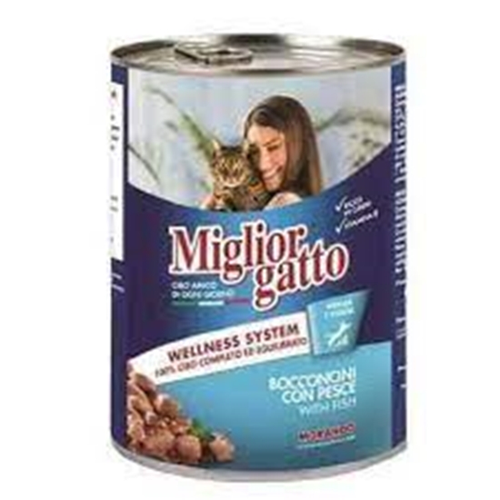 Picture of MIGLIOR GATTO PESCE 405G